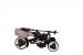 Tricicleta pliabila pentru copii QPlay Rito Gri