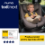 Nuna - Set Scaun auto rotativ i-Size TODL next Pine, 40-105 cm + Baza isofix BASE next i-Size pentru TODL next, testat ADAC