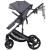 Carucior Chipolino Amore 2 in 1 cloud grey