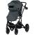 Carucior Chipolino Amore 2 in 1 basil