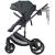 Carucior Chipolino Amore 2 in 1 basil
