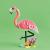 Animale salbatice: flamingo roz
