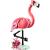 Animale salbatice: flamingo roz