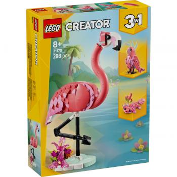 Animale salbatice: flamingo roz