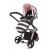 Carucior sistem 2 in 1 Cosatto Giggle 2 Golightly 3