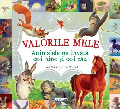 Valorile mele. Animalele ne invata ce-i bine si ce-i rau