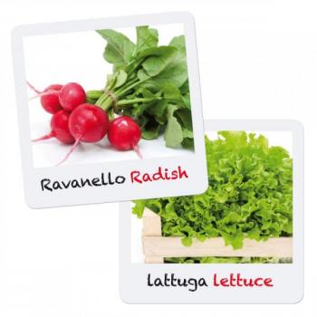 Set creativ pentru copii Gioca Green plantare si crestere Salata Ridiche Quercetti