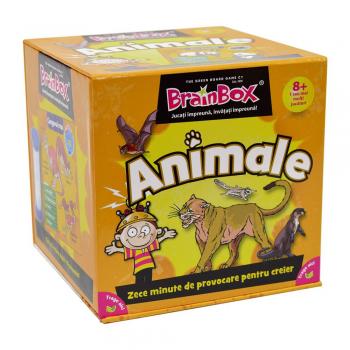 Animale – BrainBox