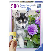 PUZZLE CATEL HUSKY, 500 PIESE