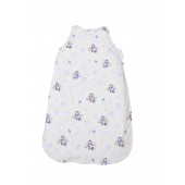 Sac de dormit, primavara/vara, pentru copii cu inaltimea maxima de 95 cm, blue aeroplane