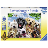 Puzzle Cateii Incantati, 300 piese