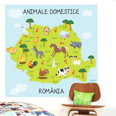Fototapet Animale Domestice - 200 x 200 cm