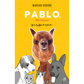 Pablo, the alpaca. scrisoarea