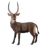 Antilopa africana- Collecta
