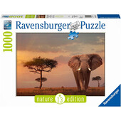 PUZZLE ELEFANT IN MASAI MARA, 1000 PIESE