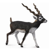 Figurina pictata manual Antilopa Blackbuck