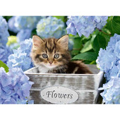 Puzzle pisicuta intre flori, 300 piese