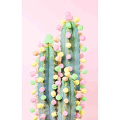 Puzzle cactus, 200 piese