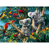 Puzzle koala in copac, 500 piese