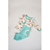 Set bluzita cu maneca lunga si panataloni lungi, 100% bumbac organic, babycosy, verde (marime: 18-24 luni)