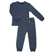 Pijama cu maneca lunga bumbac 100% (179036) colectia "sonia" 2021 marimea 104